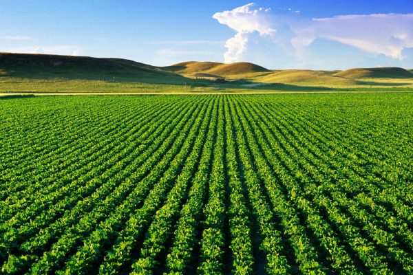 Đất dùng trong nông nghiệp