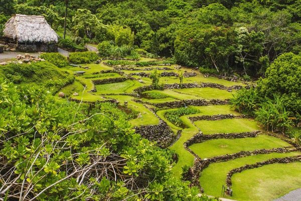 Đặc Điểm Của Du Lịch Nông Nghiệp