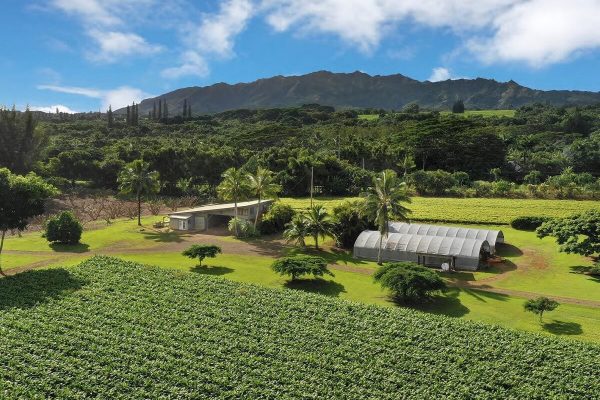 Đặc Điểm Của Farmstay